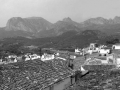 01-Callosa-overzicht-kopie